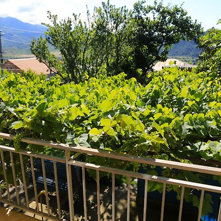 Guest House Green Veranda Mtskheta Exterior foto