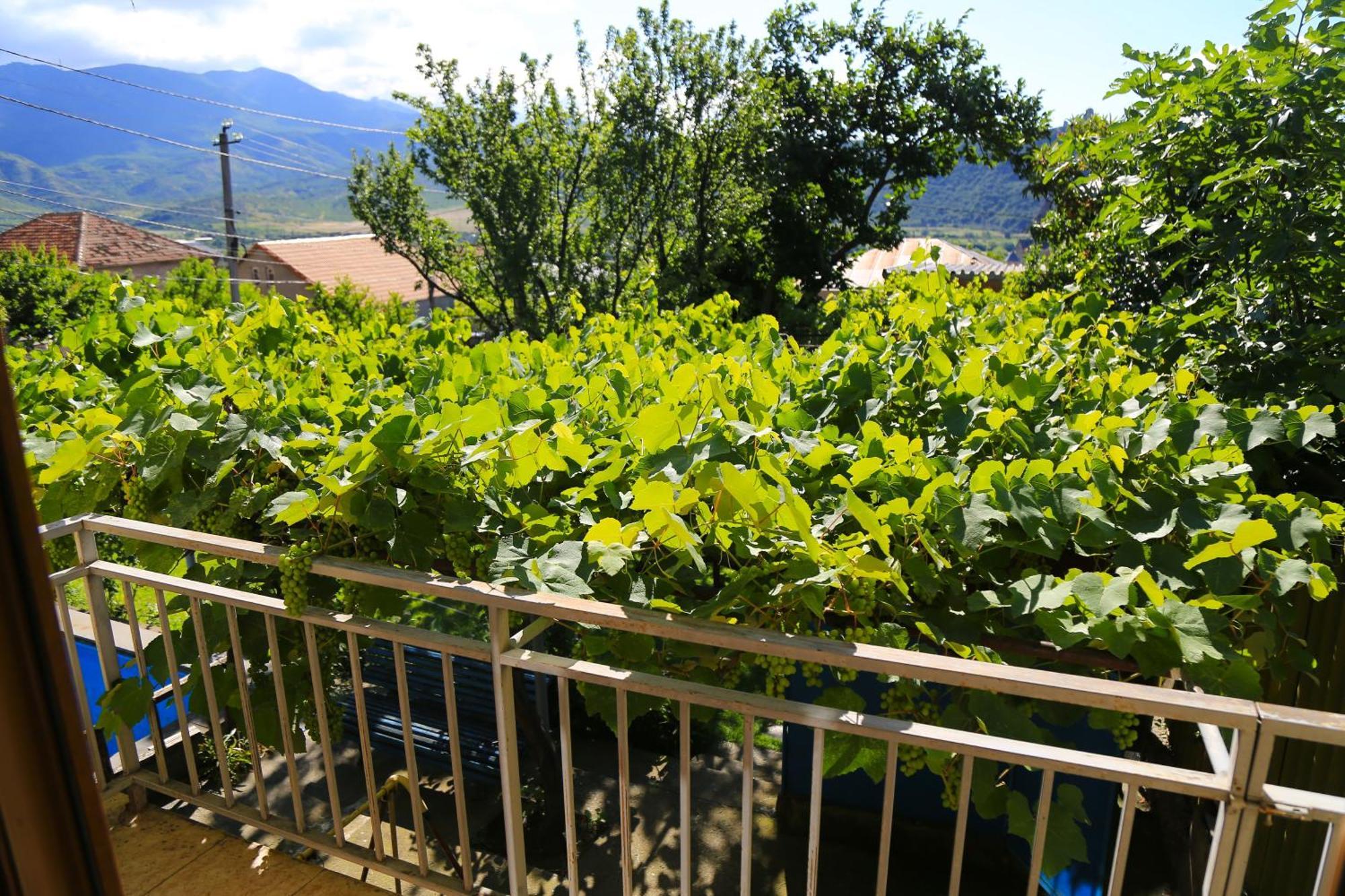 Guest House Green Veranda Mtskheta Exterior foto