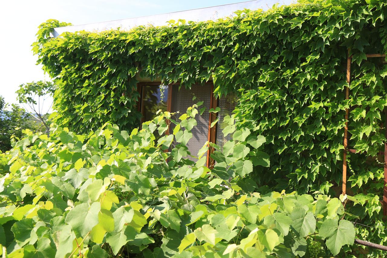 Guest House Green Veranda Mtskheta Exterior foto