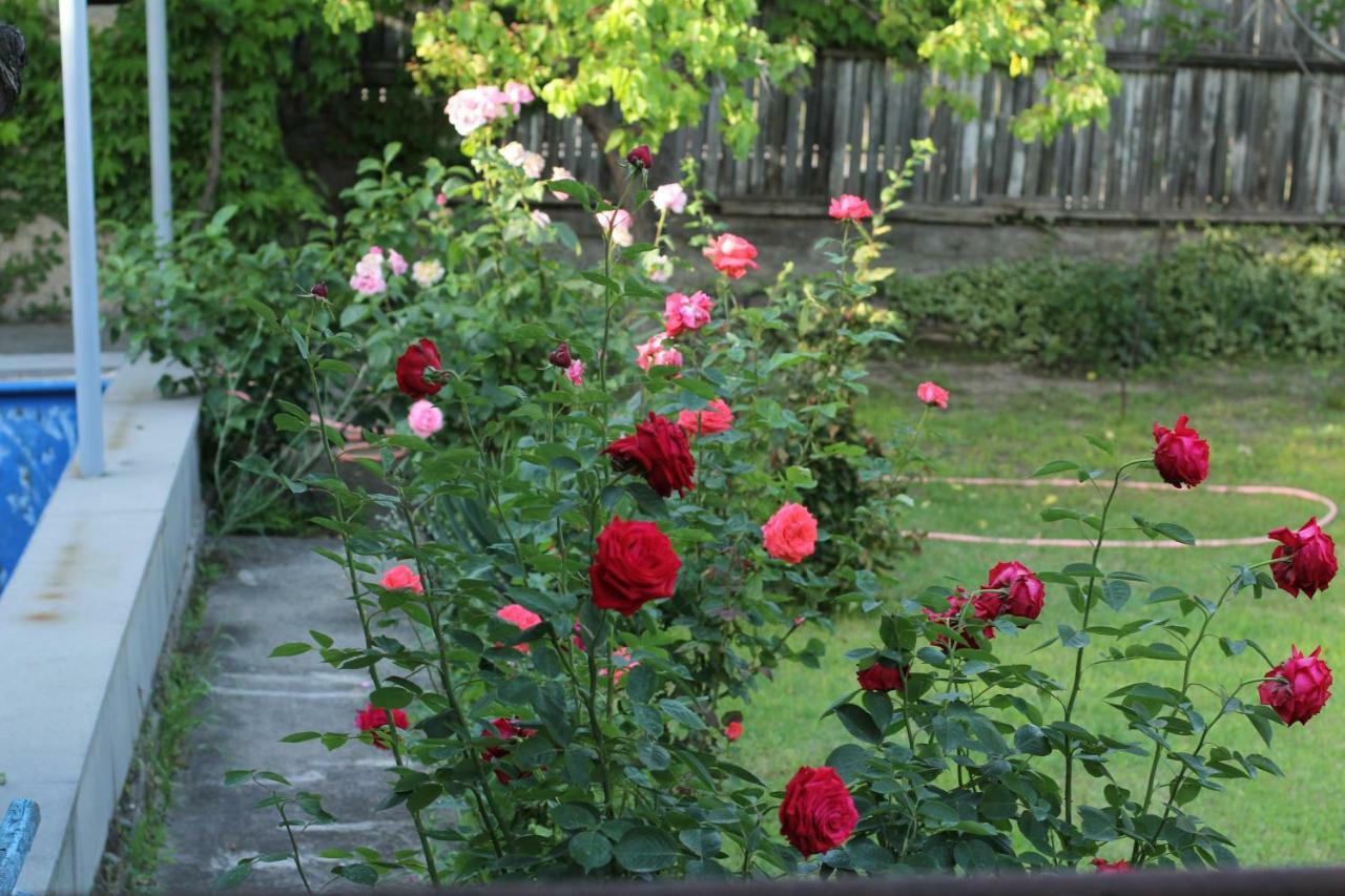 Guest House Green Veranda Mtskheta Exterior foto